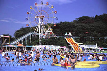 遊園地・プールや動物園・野外イベント